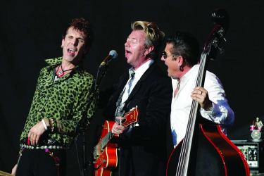 Stray Cats