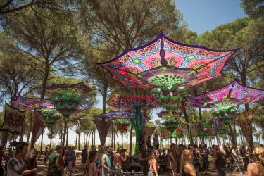 Transition Festival 2020