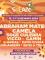 Cartel Solazo Fest 2024