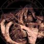 Breathing the Putrefaction of Their Grace