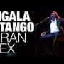 Cigala & Tango - Concierto Teatro Gran Rex de Buenos Aires