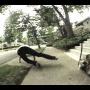 Spread Eagle Cross the Block