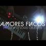 Amores Flacos (video colectivo)